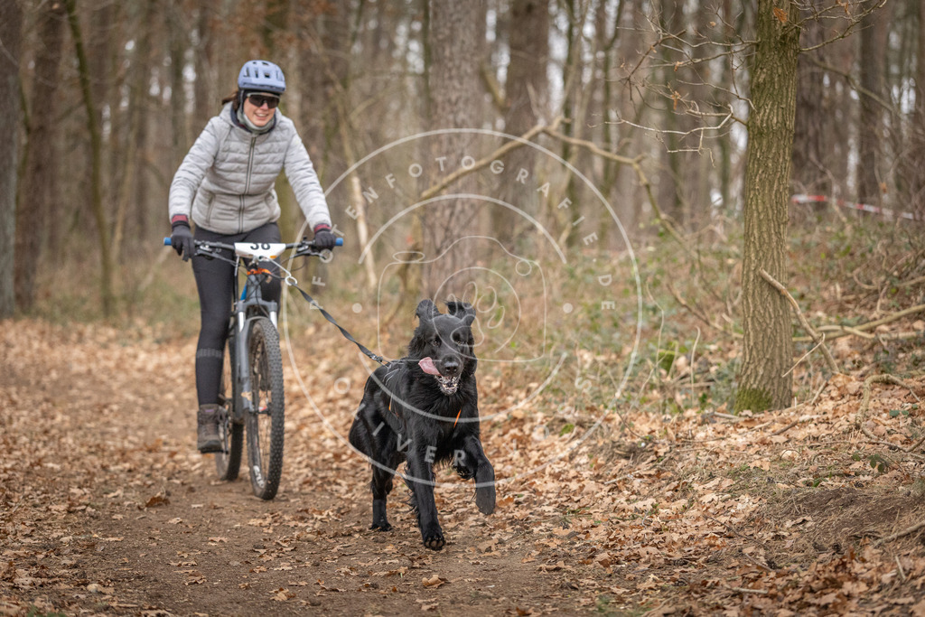 Pfotenfotografie_DV3A0281 | Hundefotografie, Tierfotograf, Pfotenfotografie, Fotoshooting Hund, Hunde Portrait, Hundesport, Hundeportraits, Heideshooting, Hunde, Sportfotograf, Hundefotograf, Turnierhundsport, THS,  - Realisiert mit Pictrs.com