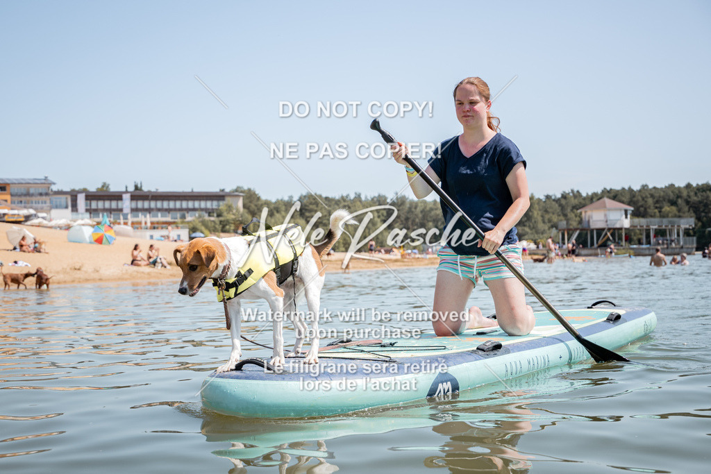 nelerasche_saSUP2_264 | nelerasche