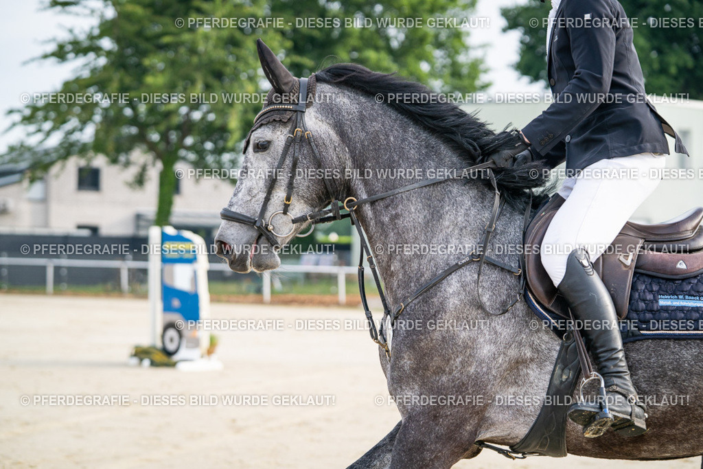 DSC07605 | Pferdegrafie