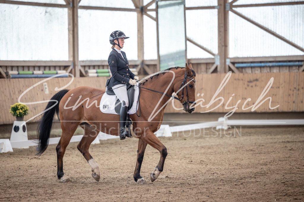 20251011-_3LI9381 | Tierfotografie Pferde, Hunde, Katzen, Haustiere.
Turnierfotografie Reitturniere, Reiten, Springreiten, Dressur in Hanau, dem Main-Kinzig-Kreis und dem Rhein-Main- Gebiet um Frankfurt