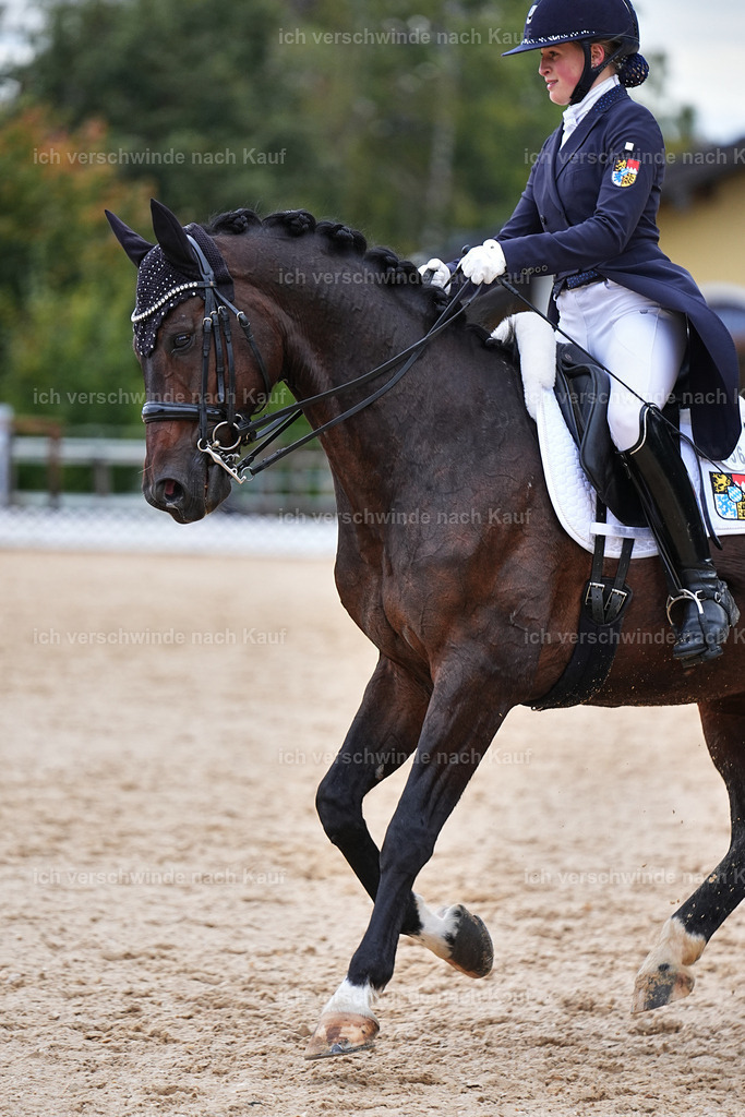 8_2-056-DRESSUR S_  -Marixx-4600 | working equitationturnier fotograf videograf stoibphotography marixx film working equitation deutschland reitsport turnierfotografie eventfotografie equestrian events