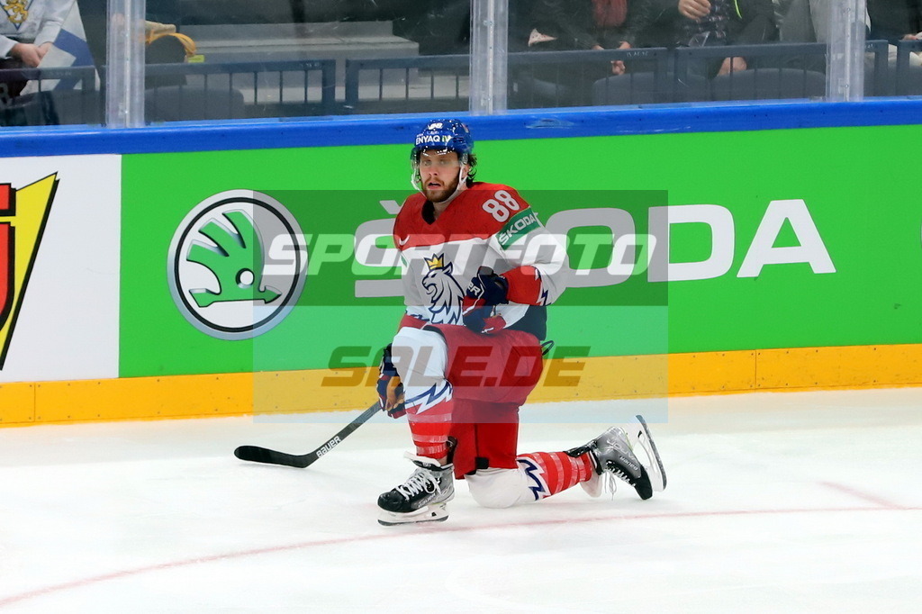 David Pastrnak - CZE | David Pastrnak - CZE - Realisiert mit Pictrs.com