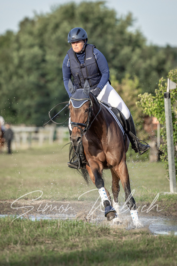 20250907-_3LI8262 | Tierfotografie Pferde, Hunde, Katzen, Haustiere.
Turnierfotografie Reitturniere, Reiten, Springreiten, Dressur in Hanau, dem Main-Kinzig-Kreis und dem Rhein-Main- Gebiet um Frankfurt