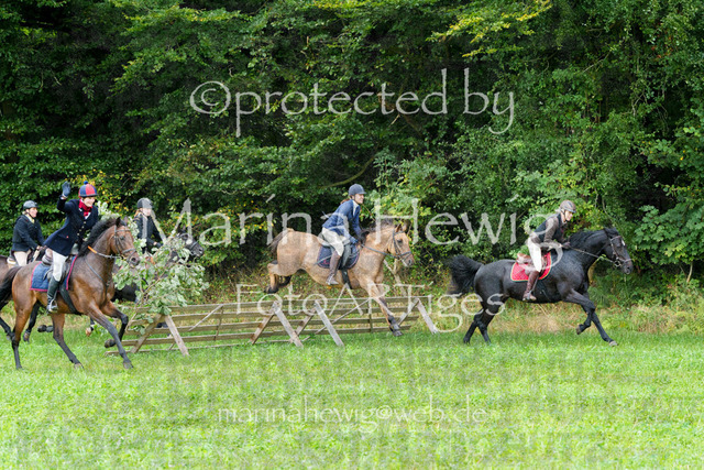 Jagd Perdoel_MarinaHewigMCH04488 | Fotografie, FotoArt, PferdesportArt, Pferdesportfotografie, Landschaftsfotografie, Reisefotografie, Reise, Pferde - Realisiert mit Pictrs.com