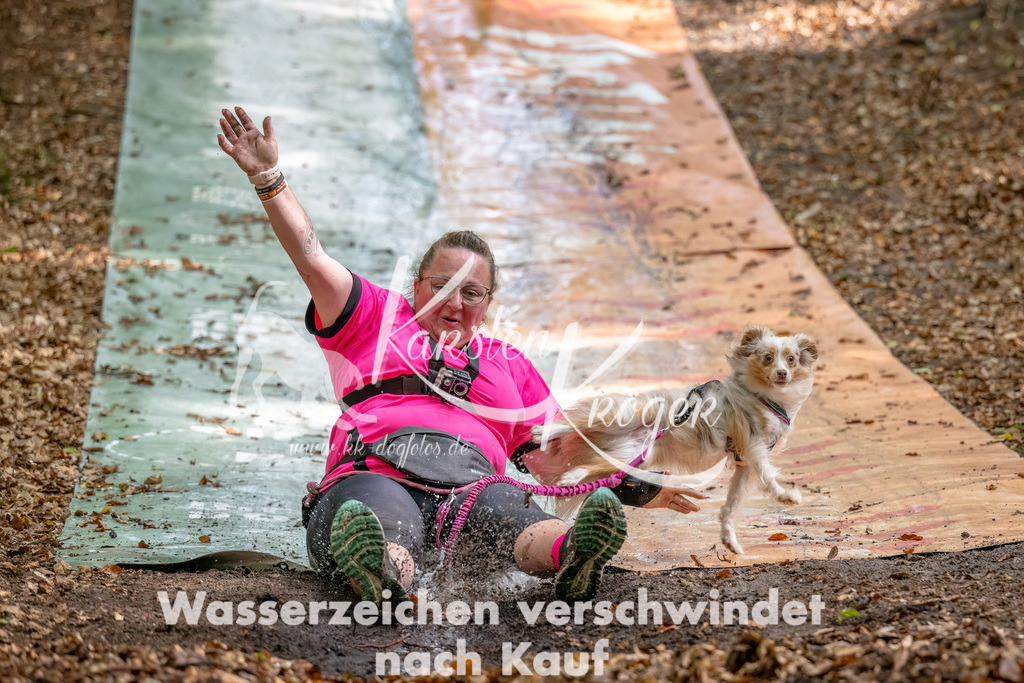 1239_ZZ90633-Bearbeitet | kk-dogfotos