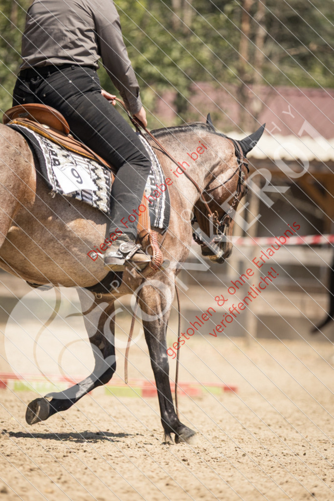 IMG_0196 | Sport-, Event- und Tierfotos in Profiqualität. Einfach auswählen, bestellen und herunterladen. Dein Moment – perfekt festgehalten.