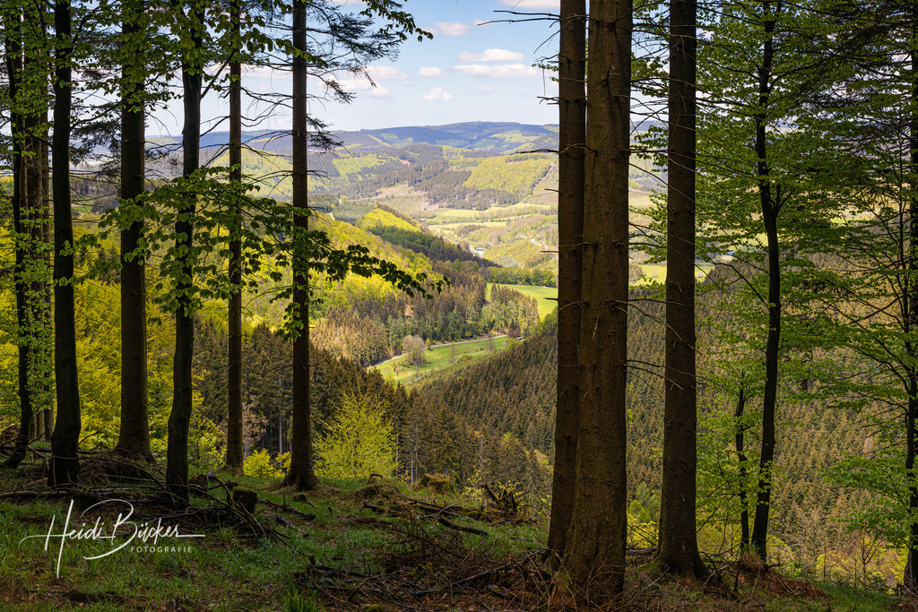 Aussicht von Schmallenberg-Schanze ins Lennetal | Aussicht von Schmallenberg-Schanze ins Lennetal - Realisiert mit Pictrs.com