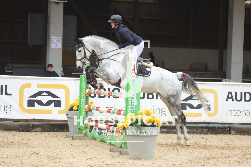 0P6A1110 | Willkommen bei Brunnmayr - Design & Fotografie – Ihrem Spezialisten für Reitturniere und Pferdeveranstaltungen in Oberösterreich, Salzburg und Bayern! Seit über 17 Jahren sind wir leidenschaftlich dabei.