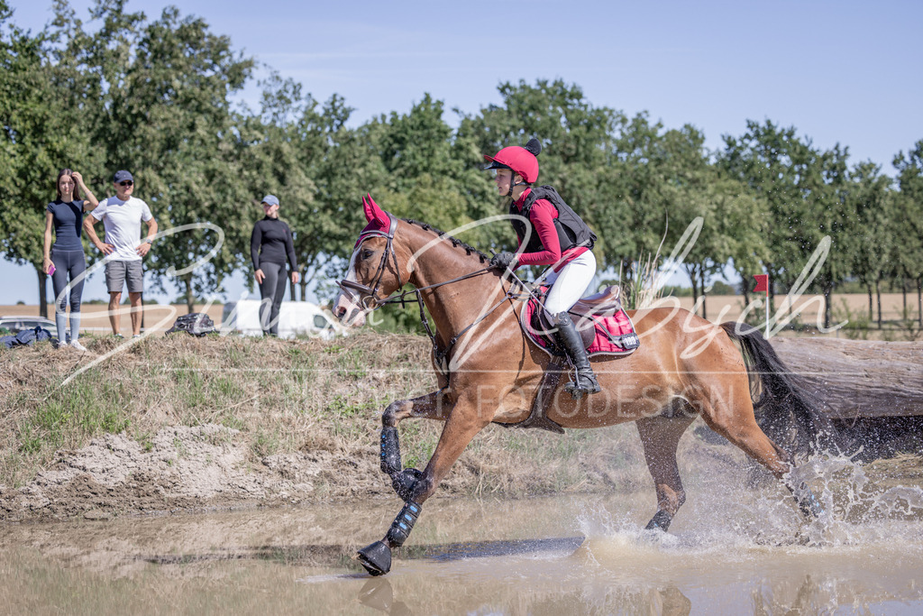 20260906-_3LI3940 | Tierfotografie Pferde, Hunde, Katzen, Haustiere.
Turnierfotografie Reitturniere, Reiten, Springreiten, Dressur in Hanau, dem Main-Kinzig-Kreis und dem Rhein-Main- Gebiet um Frankfurt