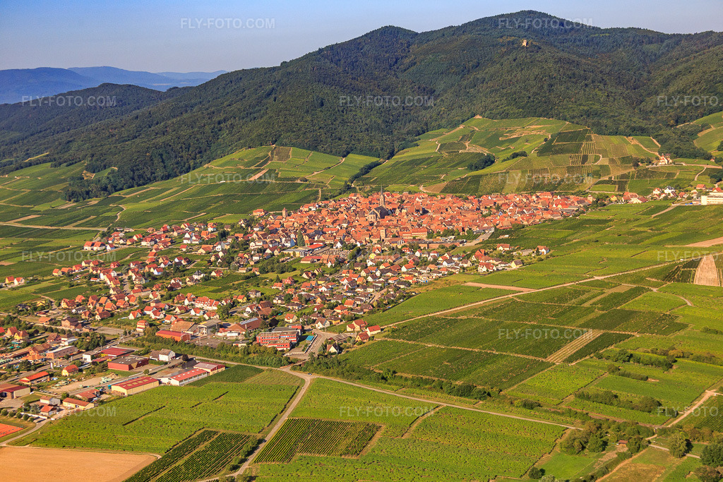 Aerial view: Winegrowing town on the edge of the Vosges Mountains in Dambach-la-Ville in the state Bas-Rhin, France. – Photo: IMG_093260.jpg taken on 08/16/2016 by Werner Riehm/FLY-FOTO.com – Resolution of the original: 5472 x 3648 px