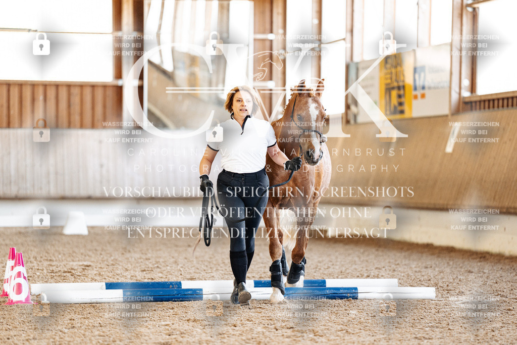 CK905604 | Turnierfotografie Pferdefotografie Trier Rheinland-Pfalz Pferdesport Reitsport Tierfotografie Sportfotografie Pferdevideo Pferdevideografie Equestrianvideography equestrianphotography  - Realisiert mit Pictrs.com