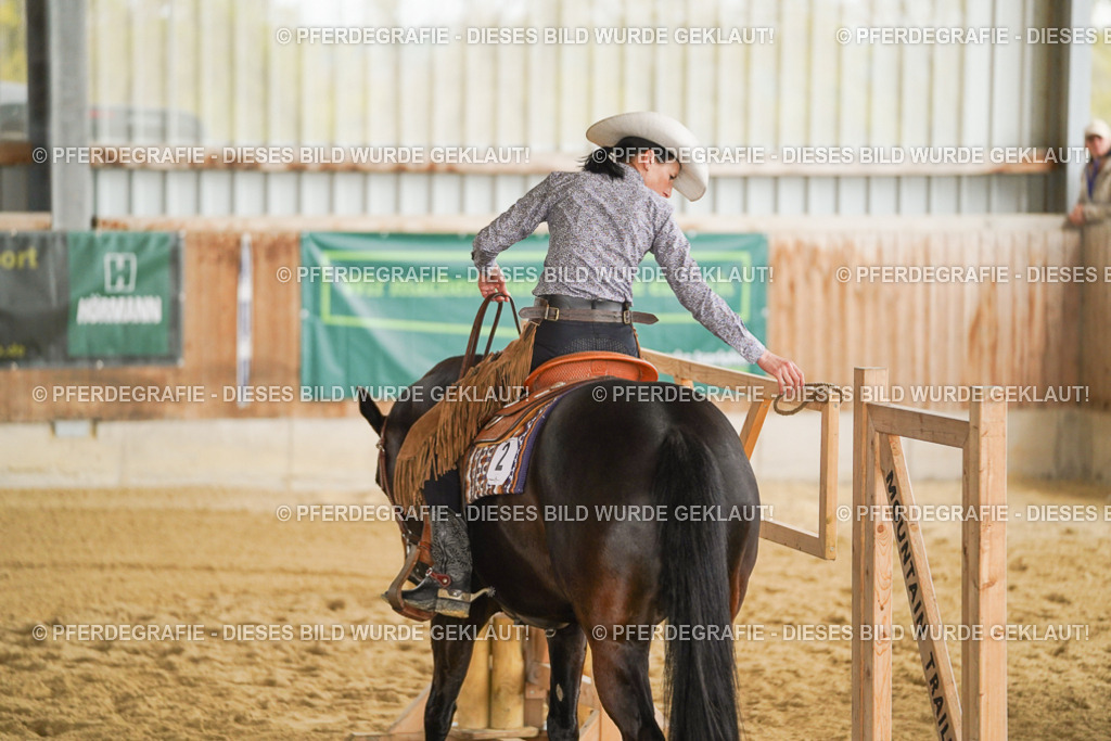 DSC04134 | Pferdegrafie