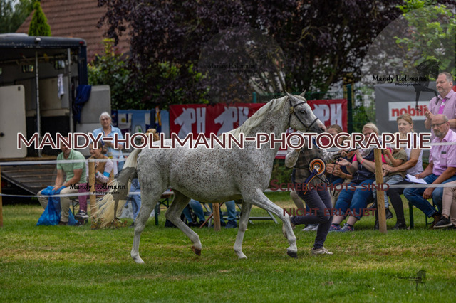 3_MG_3636 (3118) | mandyhollmannphotographie