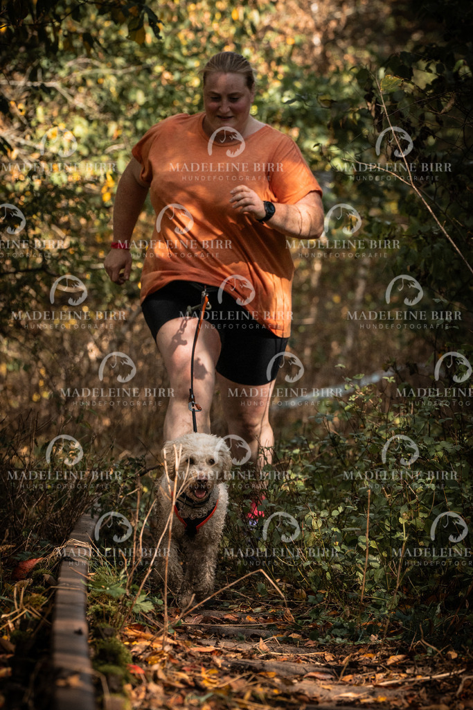 madeleinebirr.fotografie.2026.cc.hunsrueck.12-13Uhr.94 | hundefotografie-birr