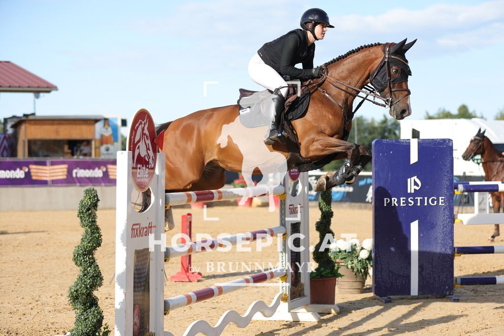 0P6A6234 | Willkommen bei Brunnmayr - Design & Fotografie – Ihrem Spezialisten für Reitturniere und Pferdeveranstaltungen in Oberösterreich, Salzburg und Bayern! Seit über 17 Jahren sind wir leidenschaftlich dabei.