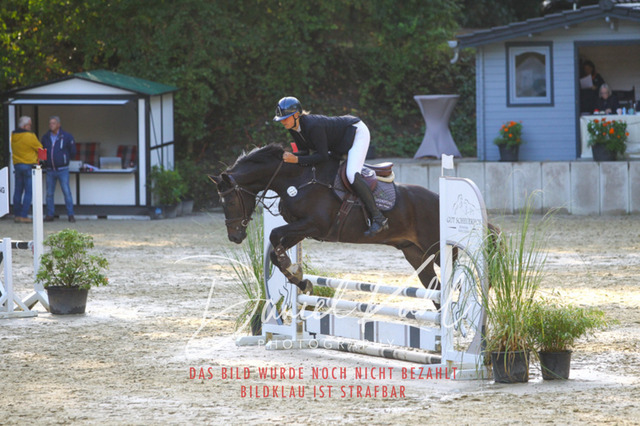 DKP40116 | Turniersportfotografie; Pferdefotografie; Dressurfotografie