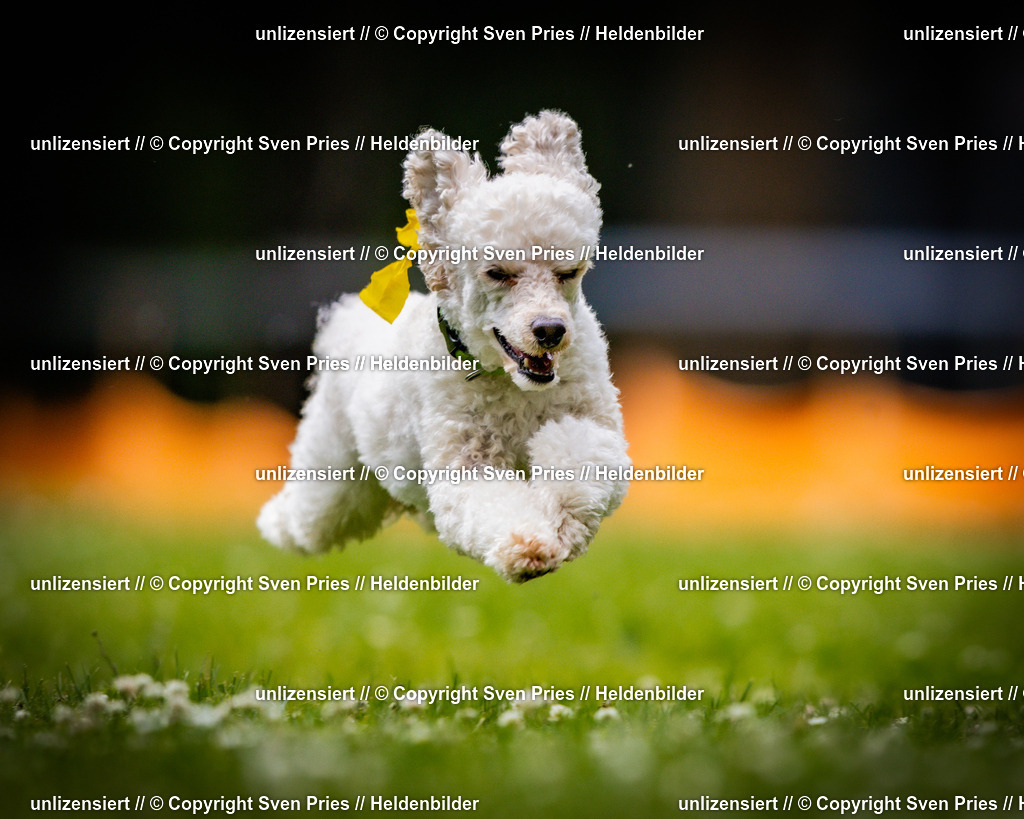 Sven Pries | 2025-05-29 - Pudelrennen KA-Durlach - Realisiert mit Pictrs.com