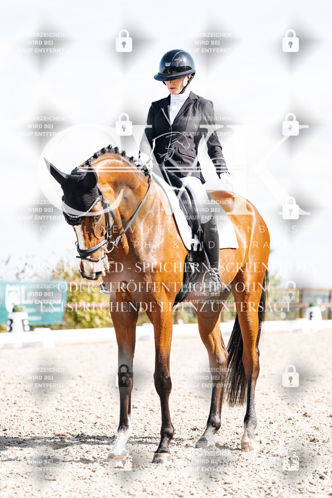 CK902337 | Turnierfotografie Pferdefotografie Trier Rheinland-Pfalz Pferdesport Reitsport Tierfotografie Sportfotografie Pferdevideo Pferdevideografie Equestrianvideography equestrianphotography  - Realisiert mit Pictrs.com