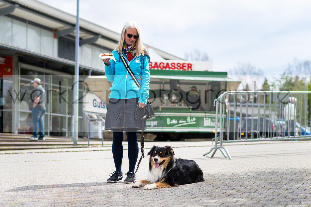 Rennsteiglauf 2019 | Marathon Neuhaus/Rwg. - Schmiedefeld am 18. Mai 2019