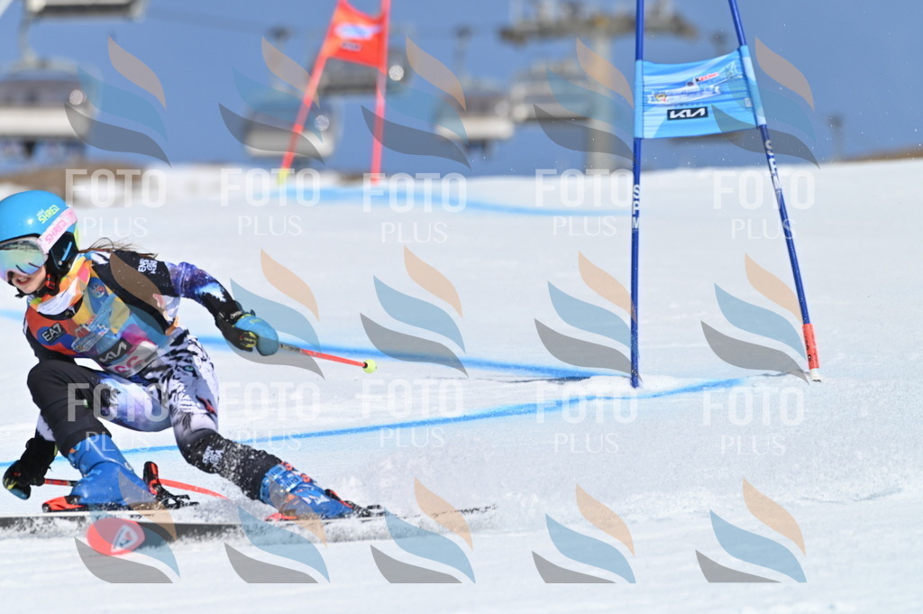 BGV_8839 | holidayphoto