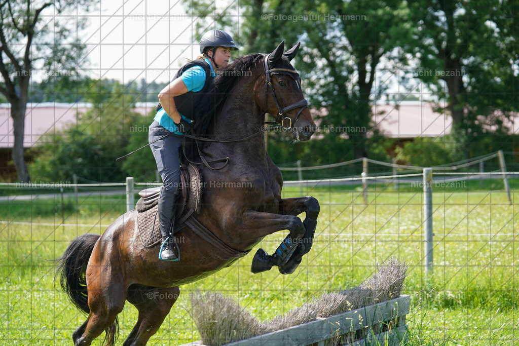20240622-FAH07840 | Turnierfotografen Bayern, Reitsportbilder aus dem Geländekurs mit Felix Etzel auf dem Gut Waitzacker 2024