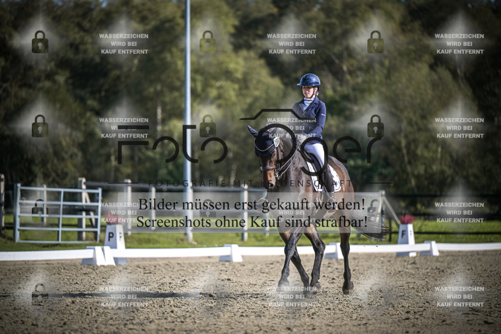 DOS_2604 | Entdecke hochwertige Reitturnierfotos von Foto Oger. Professionell, emotional und authentisch – jetzt Lieblingsmomente im Shop bestellen.Deutschlandweite Turnierfotografie. - Realisiert mit Pictrs.com