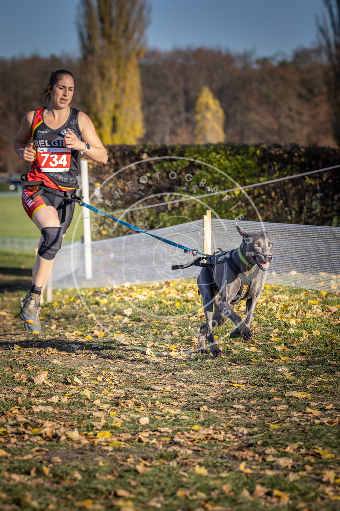 CaniXpix_DV3A2111 | Hundefotografie, Tierfotograf, Pfotenfotografie, Fotoshooting Hund, Hunde Portrait, Hundesport, Hundeportraits, Heideshooting, Hunde, Sportfotograf, Hundefotograf, Turnierhundsport, THS,  - Realisiert mit Pictrs.com