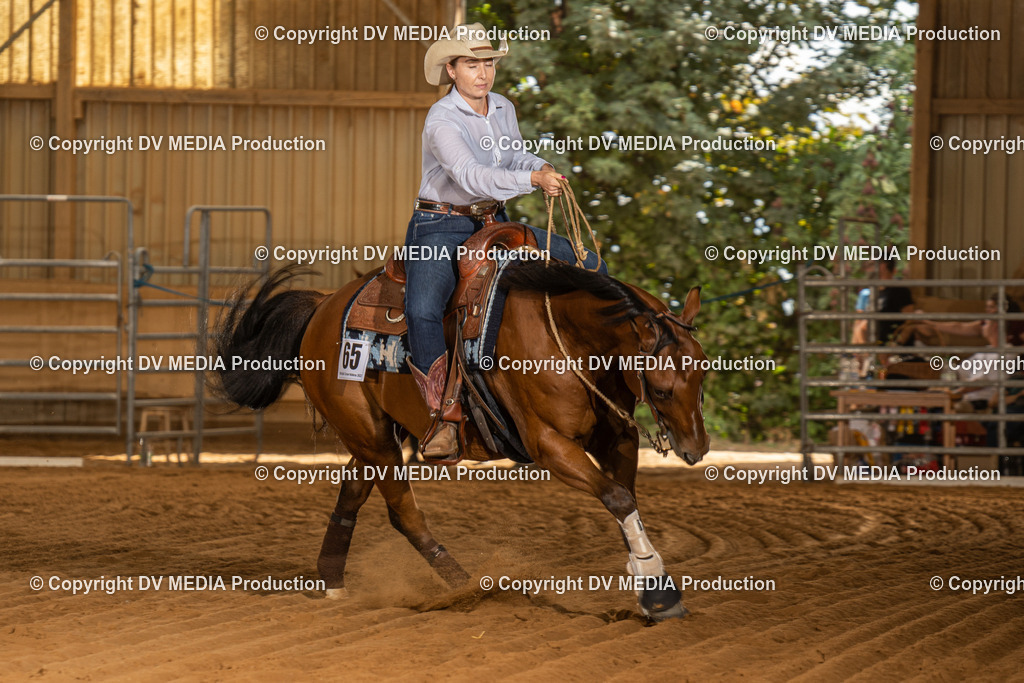 NID02142 | dv-media-shop - Realisiert mit Pictrs.com