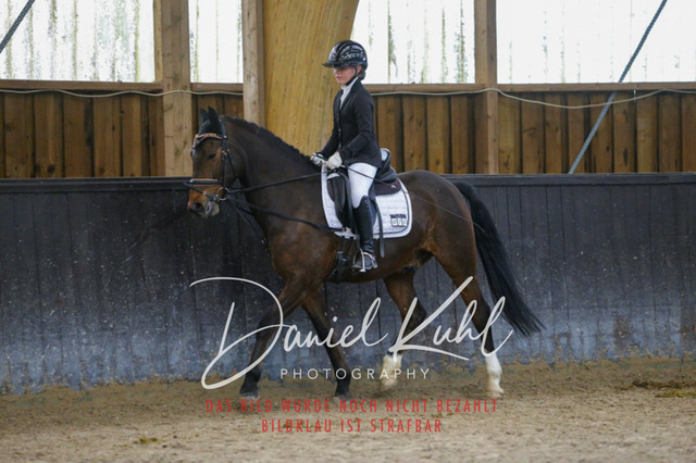 IMG_1444 | Turniersportfotografie; Pferdefotografie; Dressurfotografie