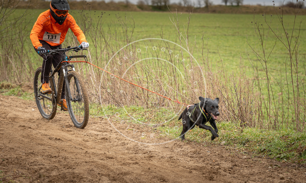 DV3A1637 | Hundefotografie, Tierfotograf, Pfotenfotografie, Fotoshooting Hund, Hunde Portrait, Hundesport, Hundeportraits, Heideshooting, Hunde, Sportfotograf, Hundefotograf, Turnierhundsport, THS,  - Realisiert mit Pictrs.com