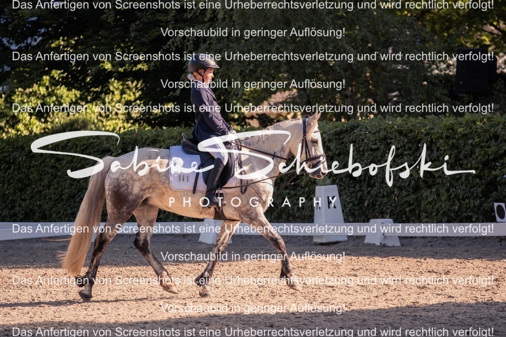 2025_05_31_DSCF2791 | People- und Tierfotografie, Imageaufnahmen, Veranstaltungsfotografie und Wandbilder aus der Natur ★ Made in Germany ✔️ Druck + Downloads ✔️ Naturfotografie in Top Qualität ★ schneller Versand, weltweite Lieferung! - Realisiert mit Pictrs.com