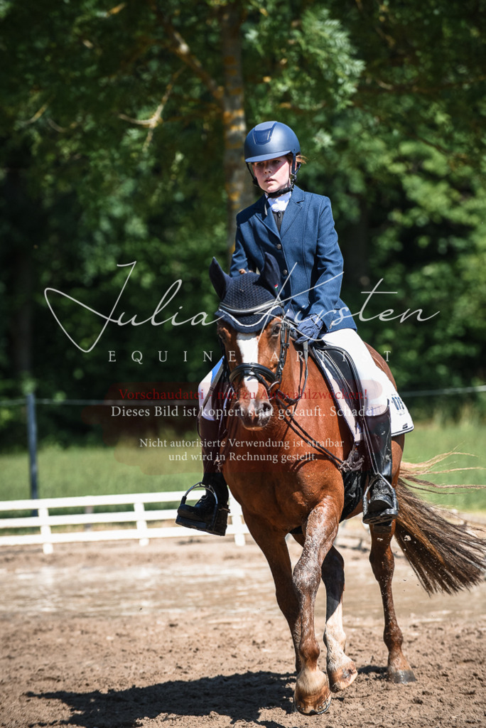 DSC_3525 | Pferde- und Turnierfotografie in Westsachsen. Pferdeportraits, Auftragszeichnungen und intuitive Kunst.