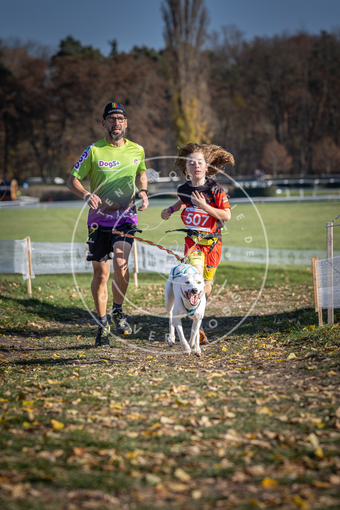 CaniXpix_DV3A7899 | Hundefotografie, Tierfotograf, Pfotenfotografie, Fotoshooting Hund, Hunde Portrait, Hundesport, Hundeportraits, Heideshooting, Hunde, Sportfotograf, Hundefotograf, Turnierhundsport, THS,  - Realisiert mit Pictrs.com