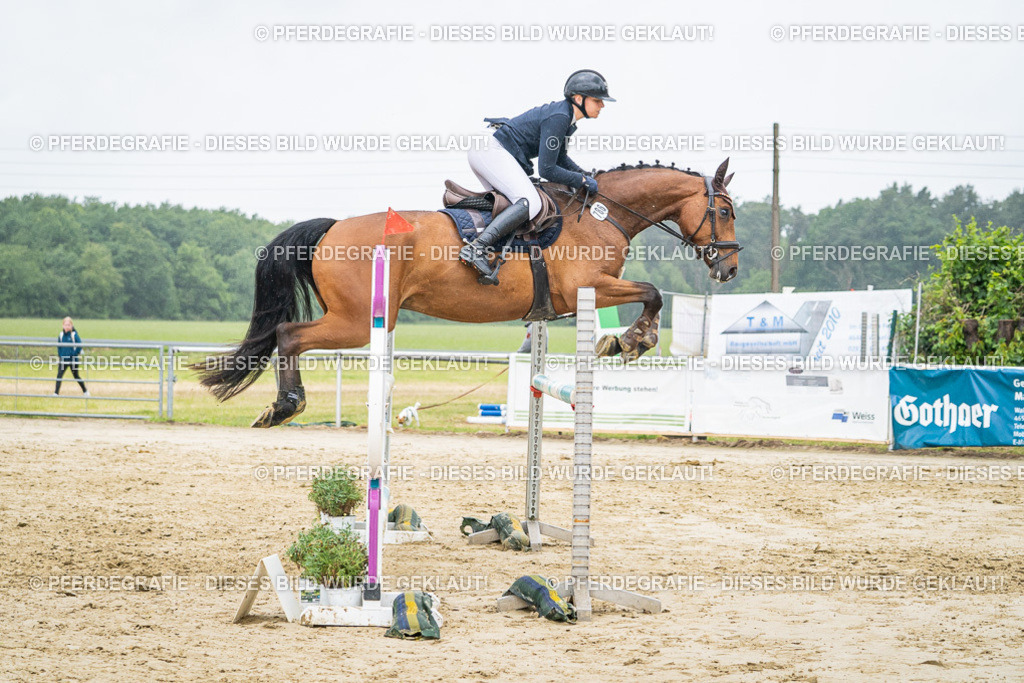 DSC03006 | Pferdegrafie