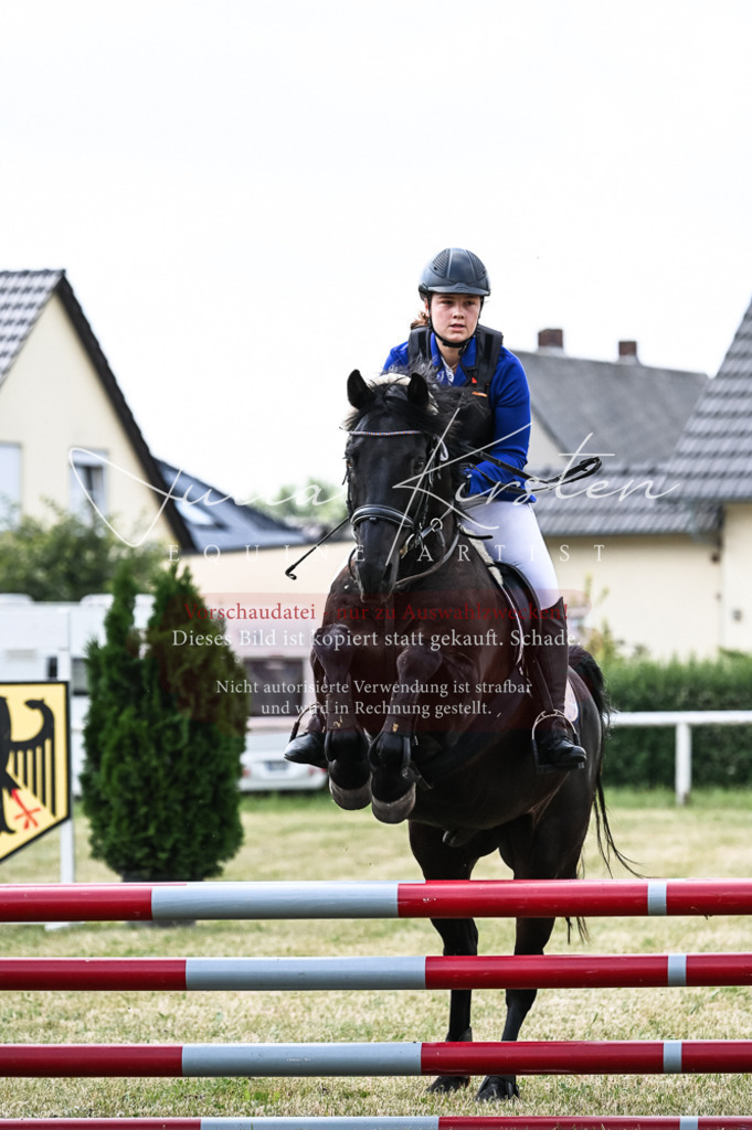 DSC_8969 | Pferde- und Turnierfotografie in Westsachsen. Pferdeportraits, Auftragszeichnungen und intuitive Kunst.