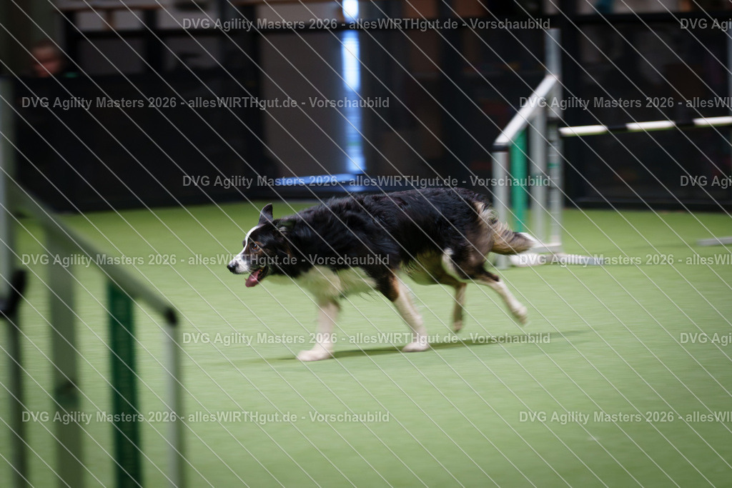 allesWIRTHgut_Tierfotografie-DVG_Agility_Masters_2026-16_50-7R508827 | Professionelle Tierfotografie in Mönchengladbach von Daniel Wirth (allesWIRTHgut). Liebevolle & natürliche Bilder von Hunden & Katzen für unvergessliche Erinnerungen.