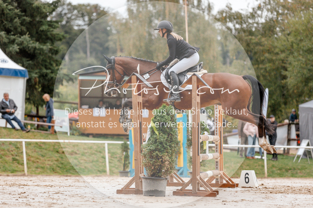 3I6A5627 | Stimmungsvolle Portraits und Reitsportfotografie im Ruhrgebiet und im Münsterland.

Pferdefotografie, Hundefotografie, Tierfotografie, Reportagen, Portraits von Tier und Mensch, Turnierfotografie in Bochum, Recklinghausen, Marl, Haltern am See, Dülmen.. - Realisiert mit Pictrs.com