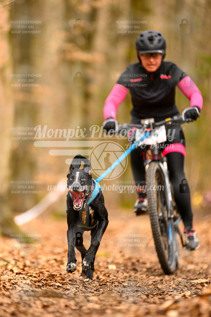 MompixPhotography_Habay2025_SA_Bike-115 | PayLife