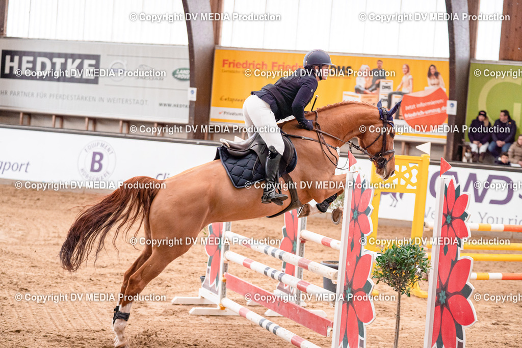 Kranichstein Tag 3-392 | dv-media-shop - Realisiert mit Pictrs.com