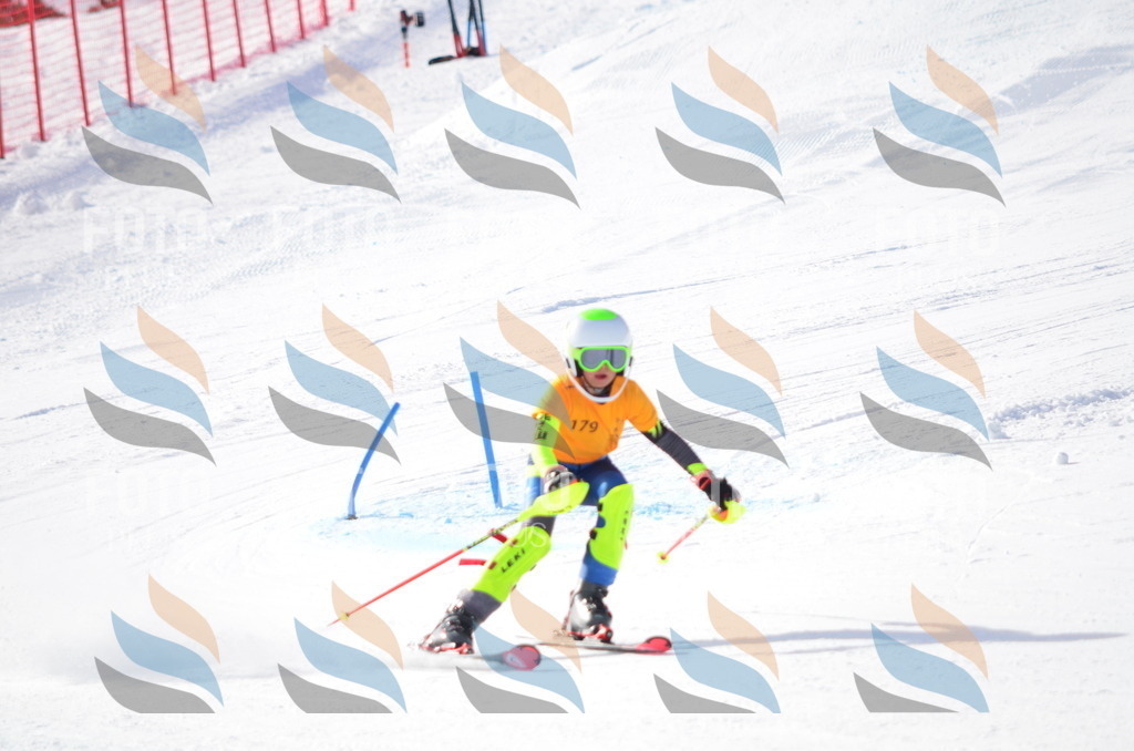 C7979 | holidayphoto