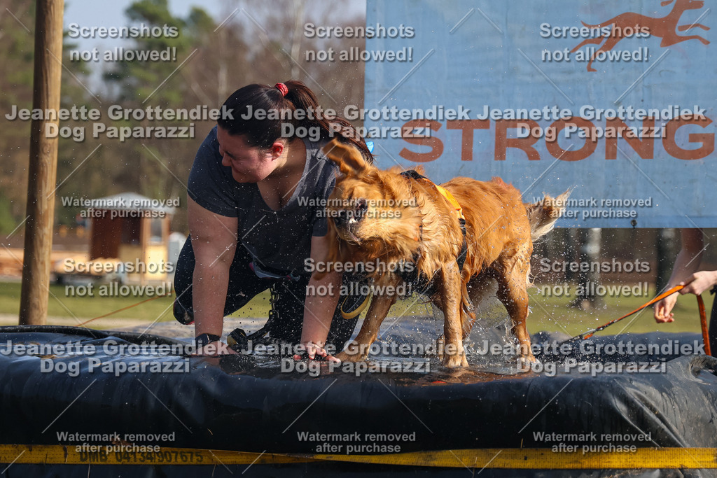 Dog Paparazzi - Strongdog North Mrz26-1922 | Dog Paparazzi Jeanette Grottendiek Fotografie & Videografie - Realisiert mit Pictrs.com