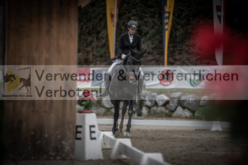 DSC_9267 | equestrian-live-com