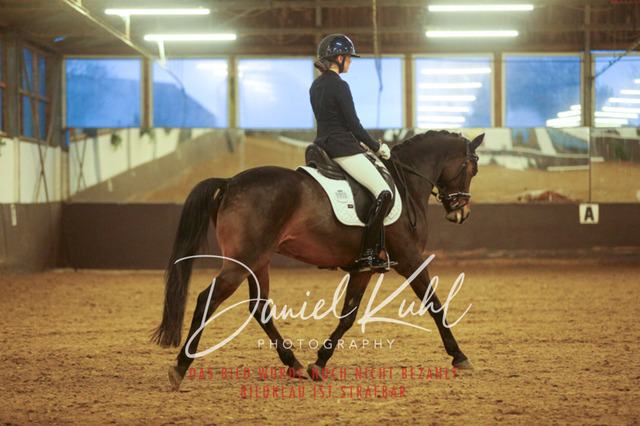 IMG_8339 | Turniersportfotografie; Pferdefotografie; Dressurfotografie