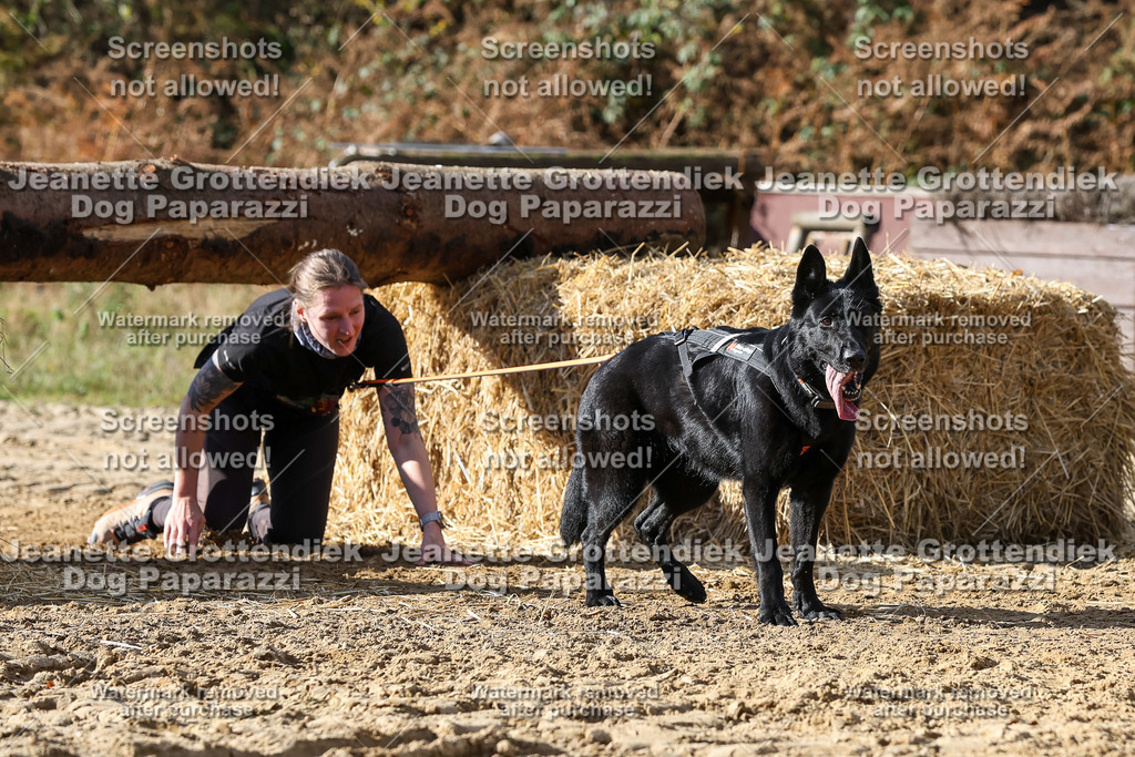 Dog Paparazzi - Strongdog 10-25-4943 | Dog Paparazzi Jeanette Grottendiek Fotografie & Videografie - Realisiert mit Pictrs.com