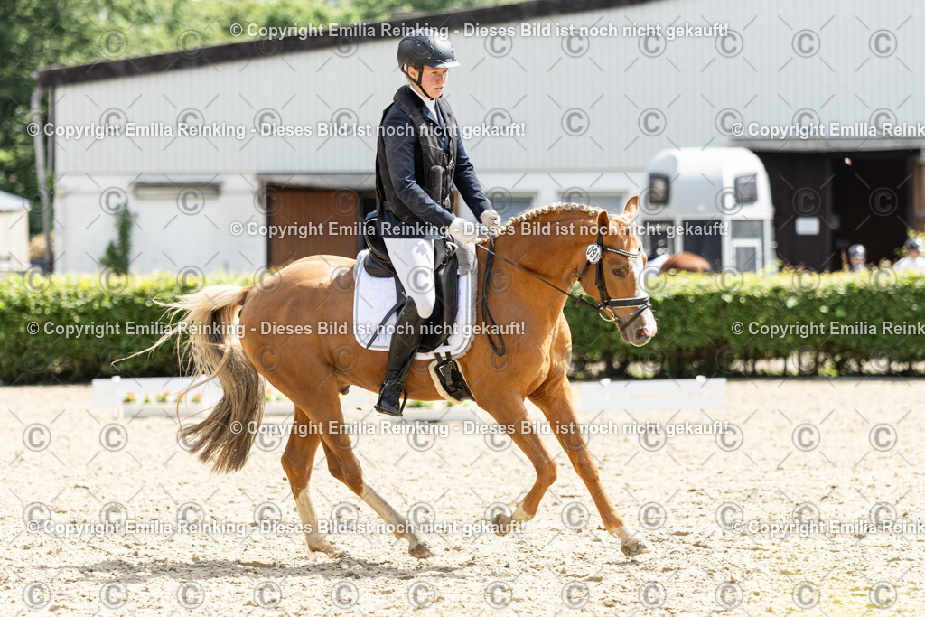 CL5A8049 | Emilia Reinking Fotografie - Realisiert mit Pictrs.com