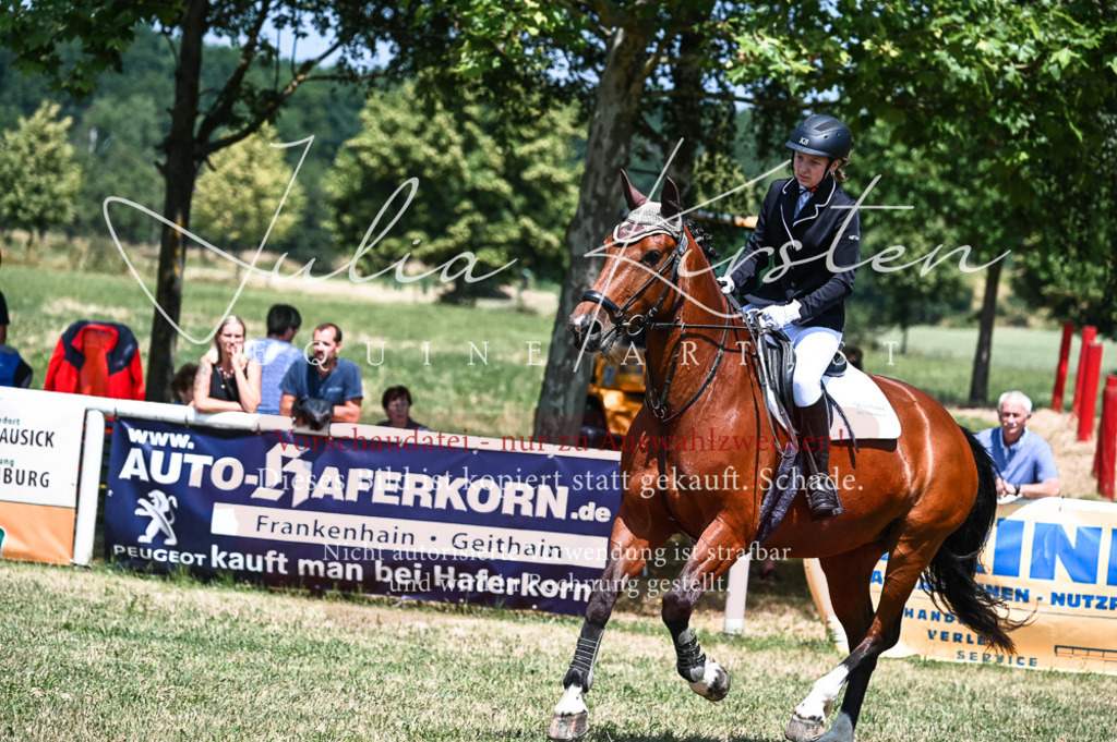 DSC_9888 | Pferde- und Turnierfotografie in Westsachsen. Pferdeportraits, Auftragszeichnungen und intuitive Kunst.