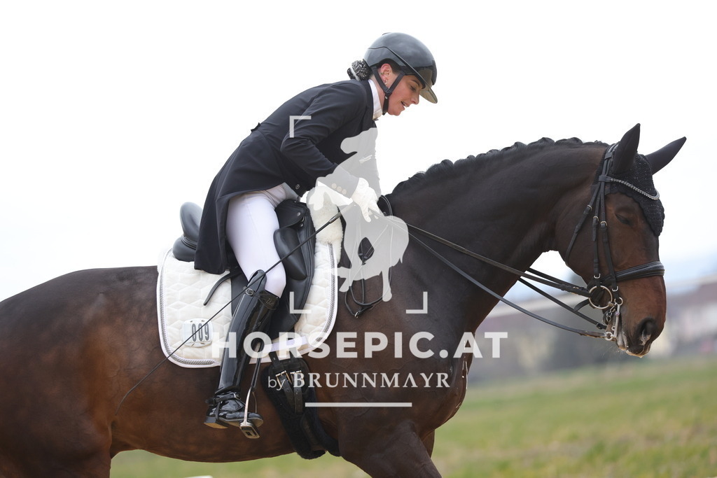 0P6A5714 | Willkommen bei Brunnmayr - Design & Fotografie – Ihrem Spezialisten für Reitturniere und Pferdeveranstaltungen in Oberösterreich, Salzburg und Bayern! Seit über 17 Jahren sind wir leidenschaftlich dabei.