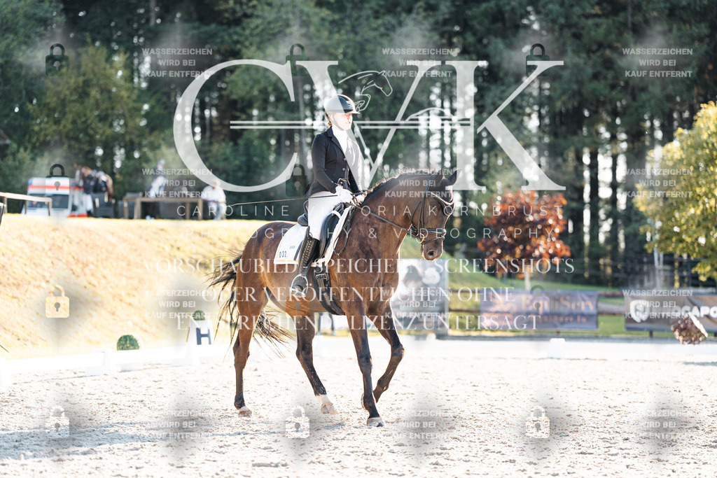 CK907186 | Turnierfotografie Pferdefotografie Trier Rheinland-Pfalz Pferdesport Reitsport Tierfotografie Sportfotografie Pferdevideo Pferdevideografie Equestrianvideography equestrianphotography  - Realisiert mit Pictrs.com