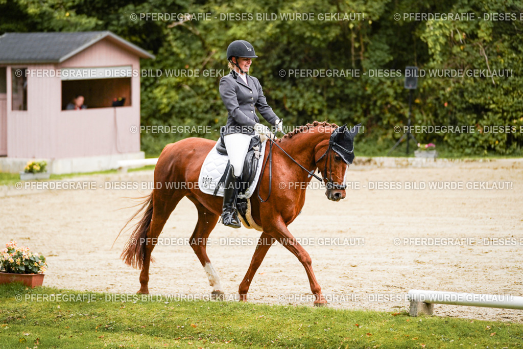 DSC08461 | Pferdegrafie