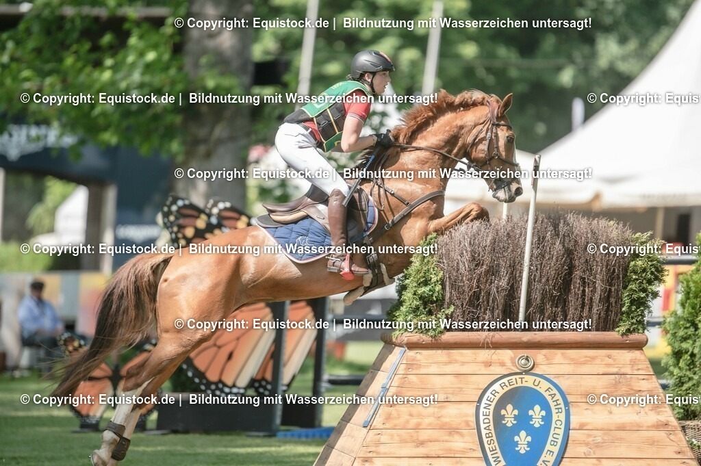 20230527_27_CCI4_Gelände_0315 | equistock